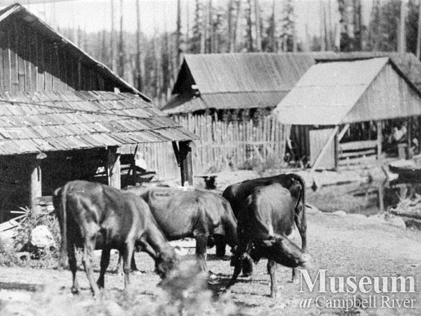 Luoma Family Homestead at Granite Bay, Quadra Island
