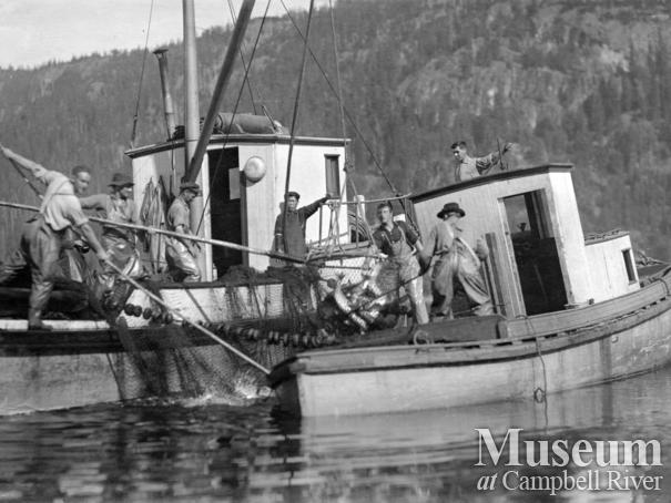 Quathiaski Canning Company boats and fishermen brailing salmon
