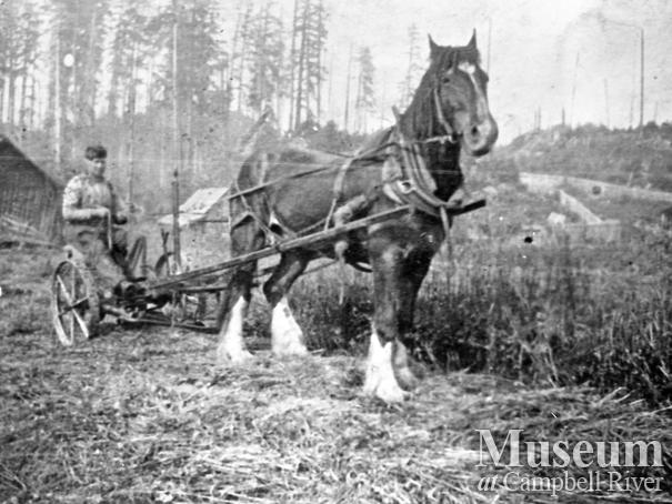 Art Stenfors on hay mower at his Granite Bay farm, Quadra Island