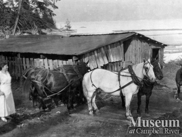 Agnes Twidle with a team of horses