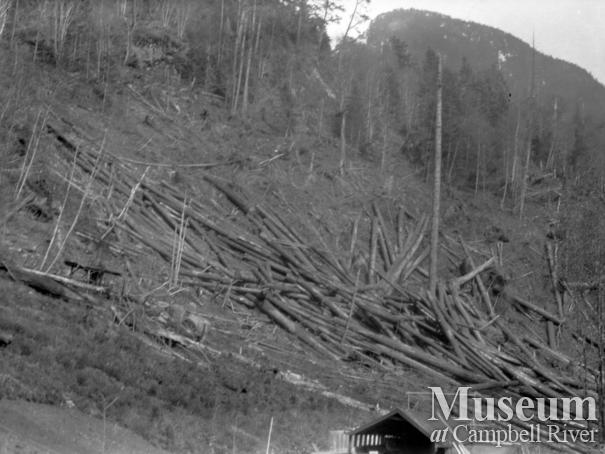 Logging at the Schnarr place, Bute Inlet	